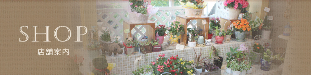 愛知県愛西市の花屋【花のひより園】の店舗案内